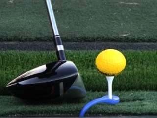 Stacks Image p2251_n17